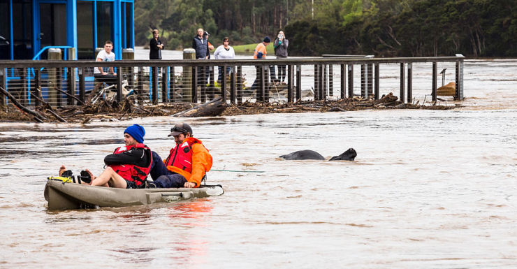 Northern Tasmania Faces Severe Flooding As Storm Weather Hits