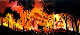bushfire