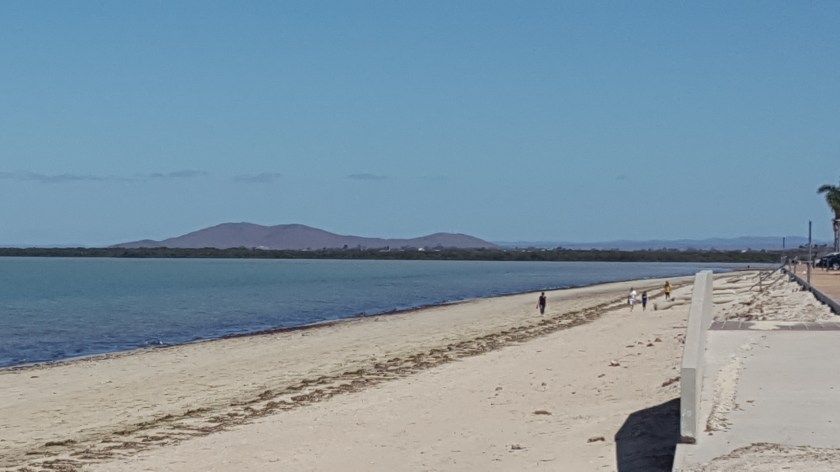 Uma phone 1st oct 467