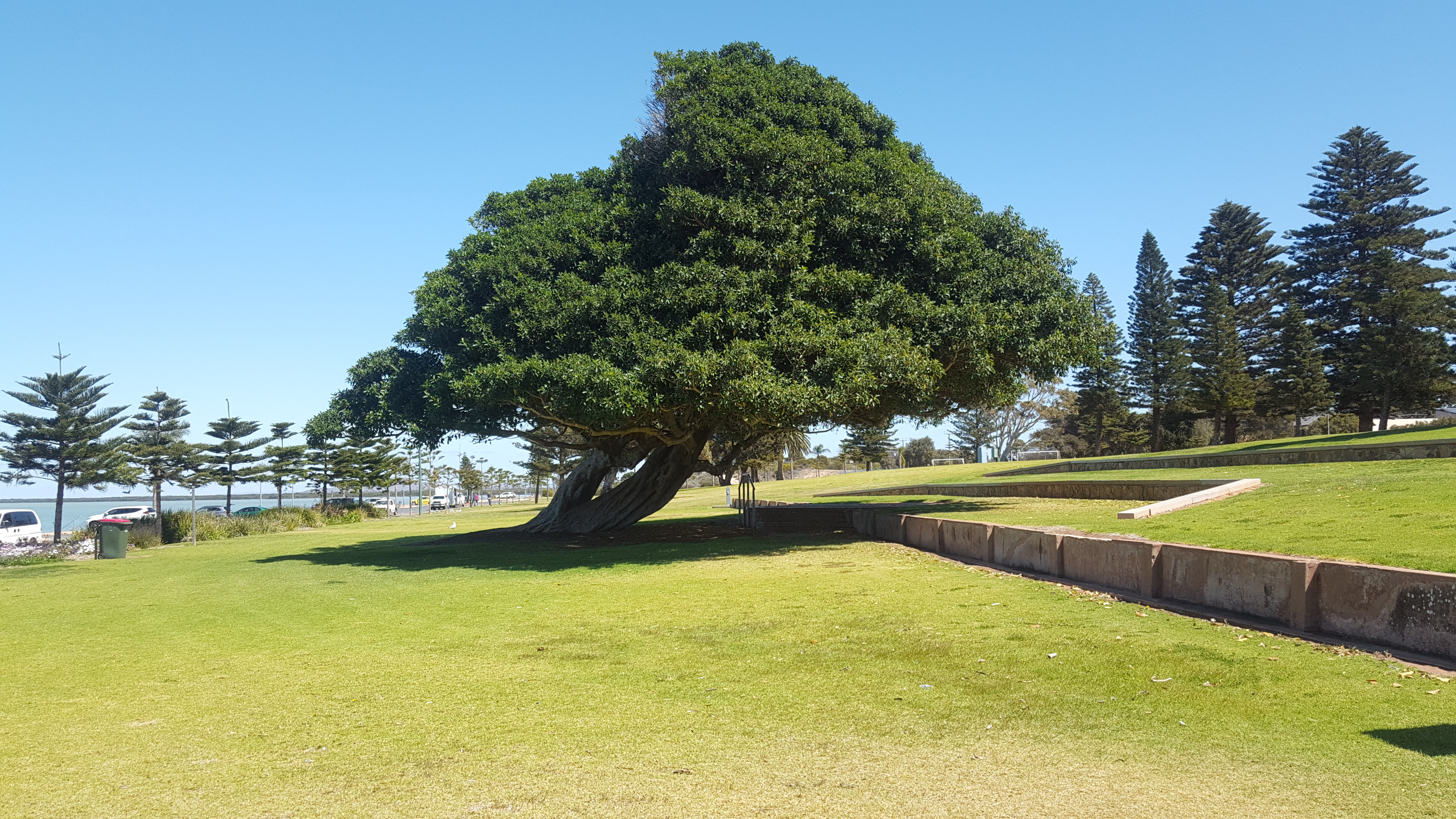 Uma phone 1st oct 468