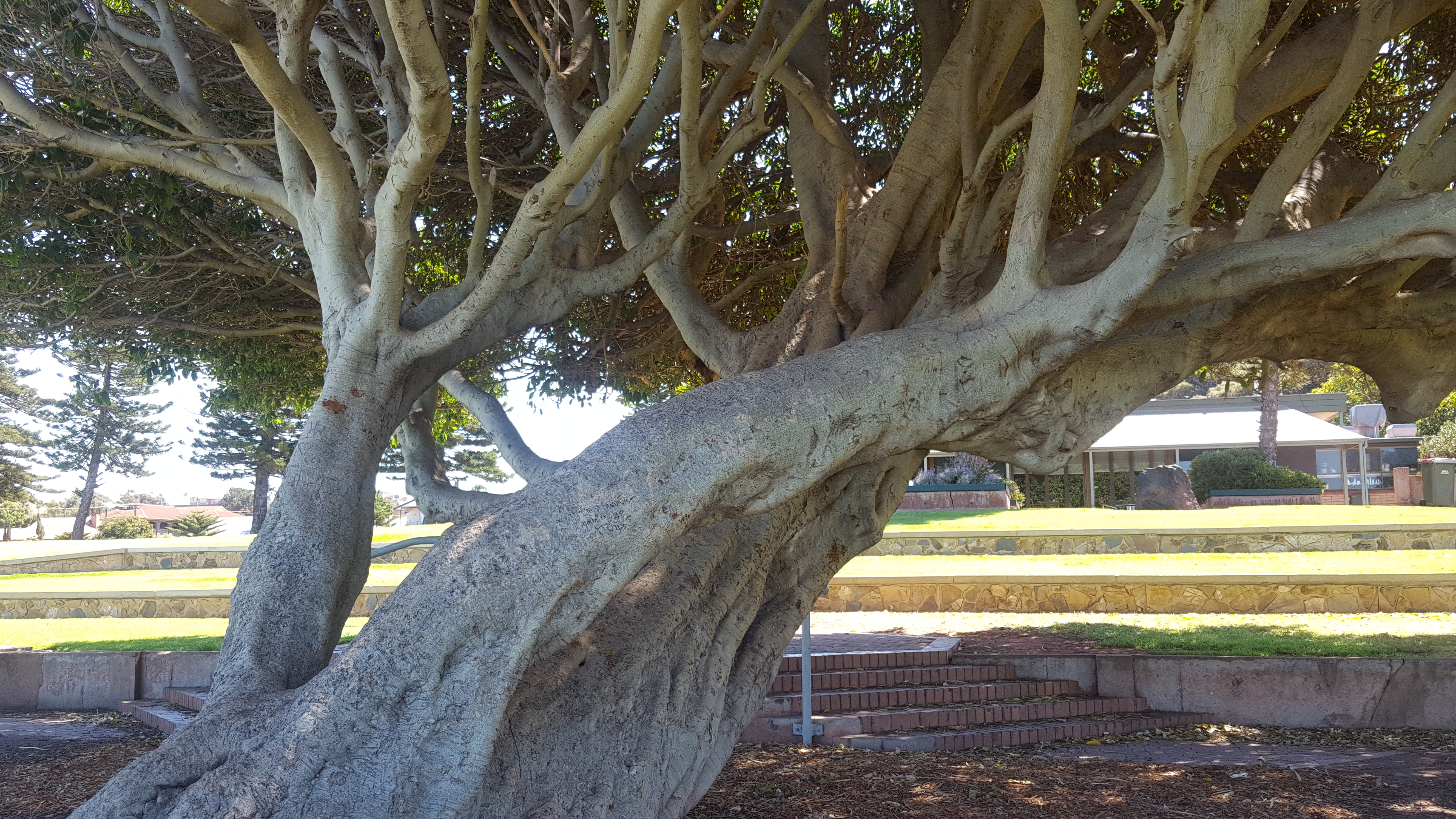 Uma phone 1st oct 470.jpg