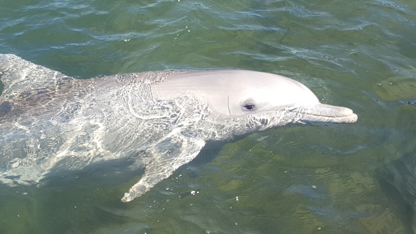 Uma phone 1st oct 487