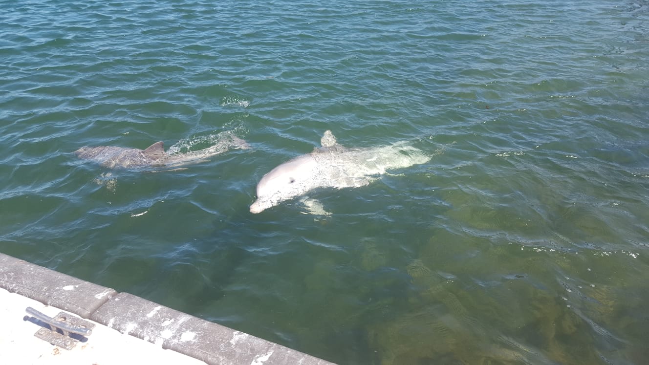 Uma phone 1st oct 493.jpg