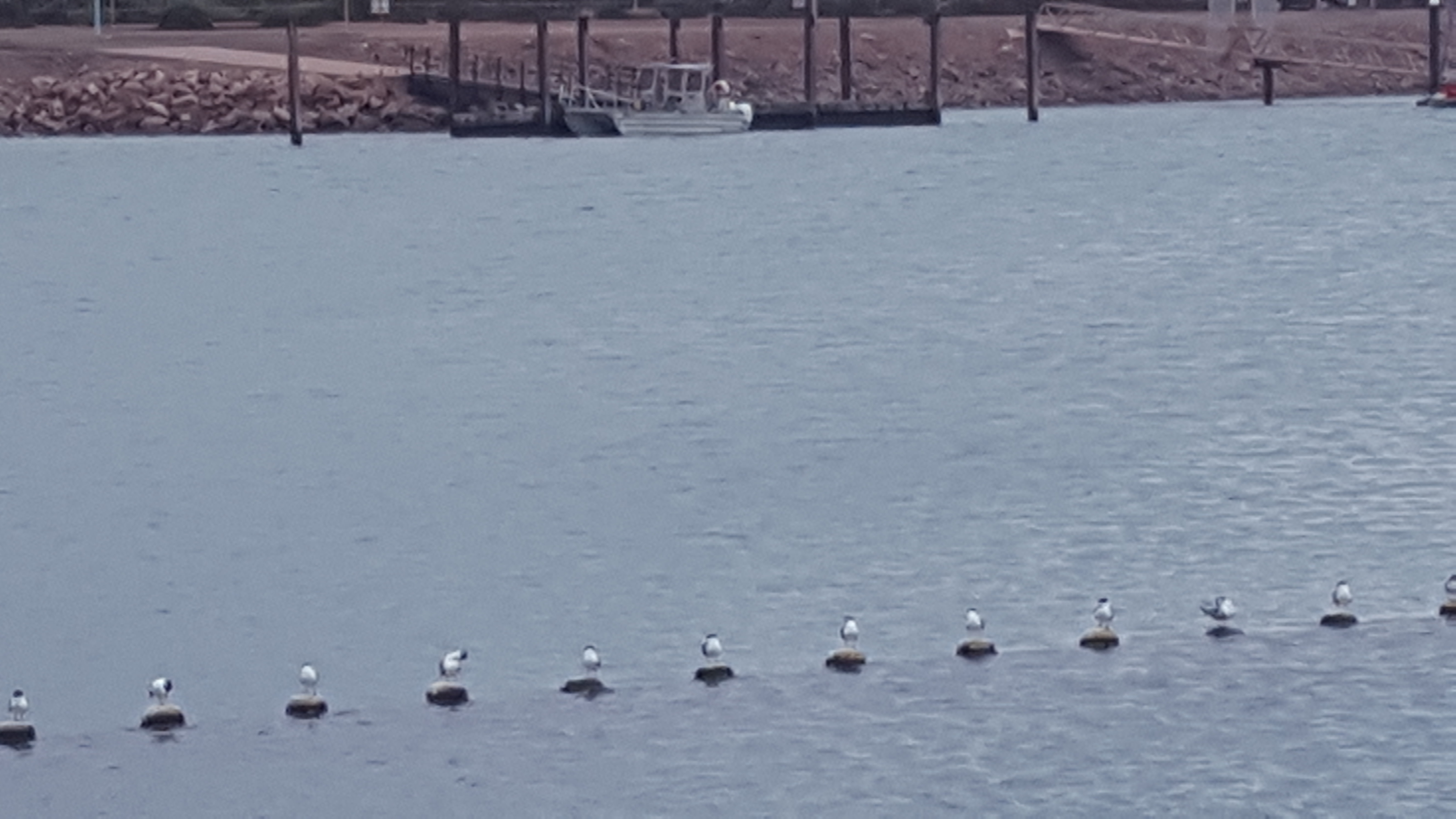 Uma phone 3 oct 011.jpg