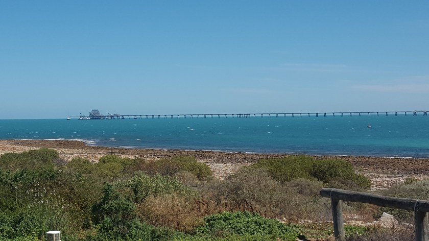 uma phone 6oct 041.jpg