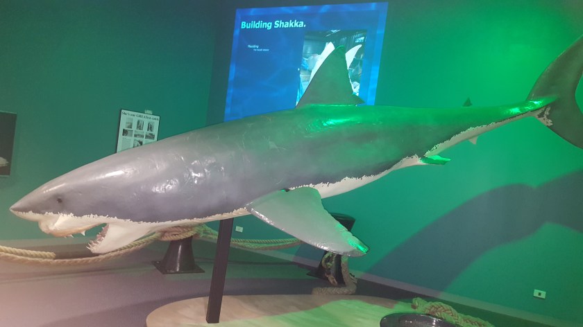 uma phone 6oct 055.jpg