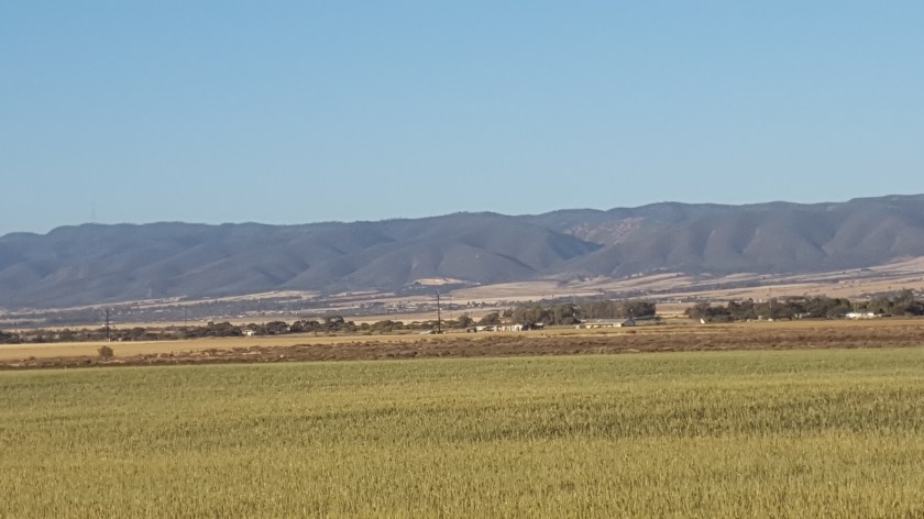 uma phone 6oct 062.jpg